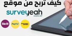 الربح من موقع panel surveyeah افضل موقع لعام2022 لربح المال